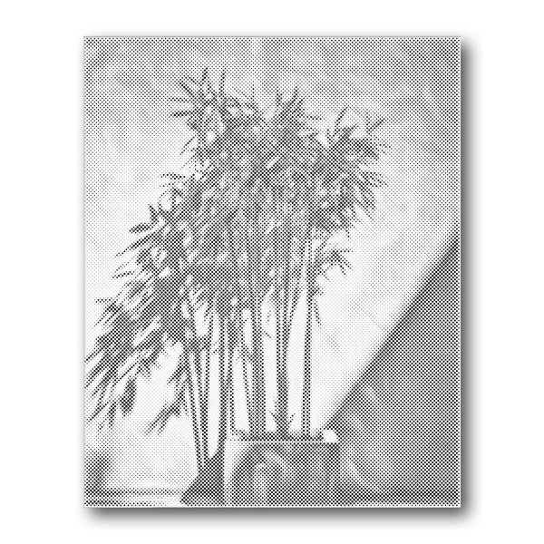 Dot PaintingBamboo Planter Studio - isuvio