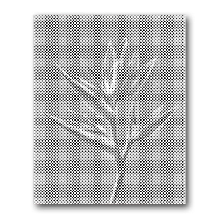 Dot PaintingBird of Paradise Stem - isuvio