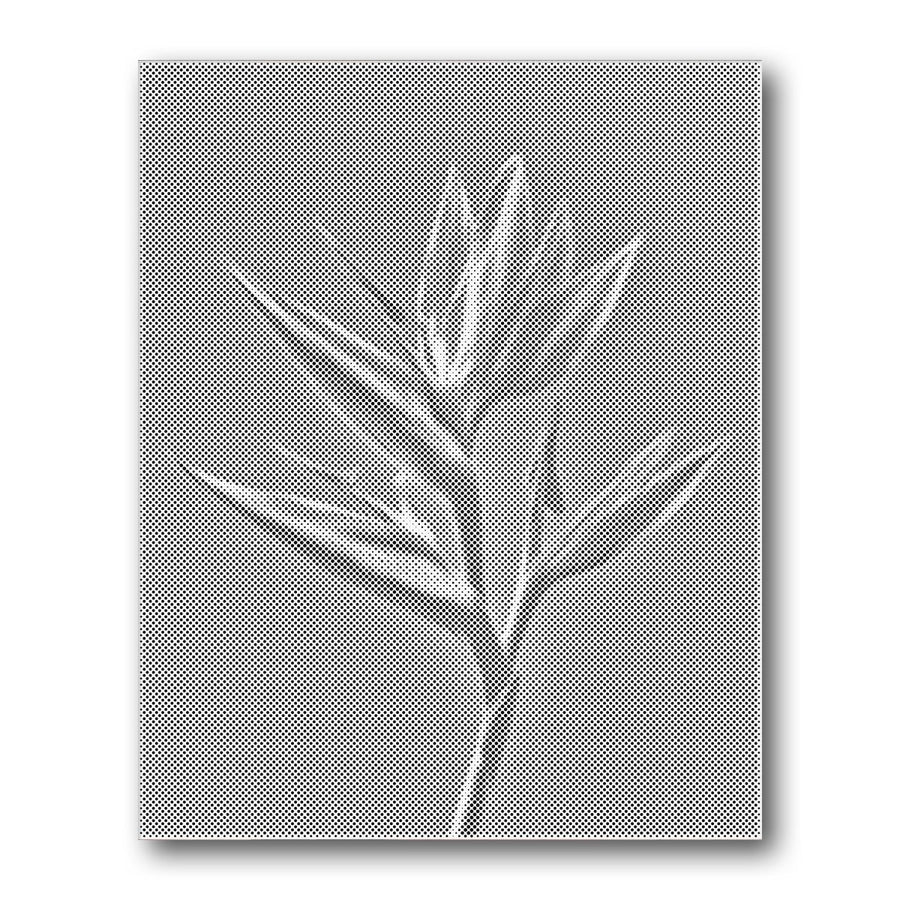 Dot PaintingBird of Paradise Stem - isuvio