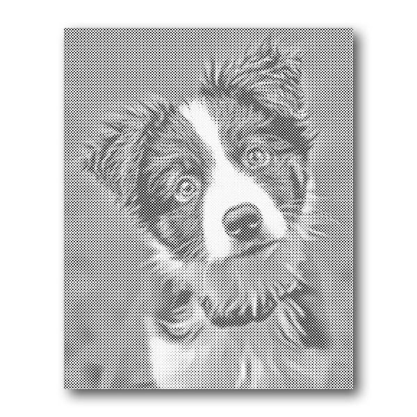 Dot PaintingBorder Collie Portrait - isuvio