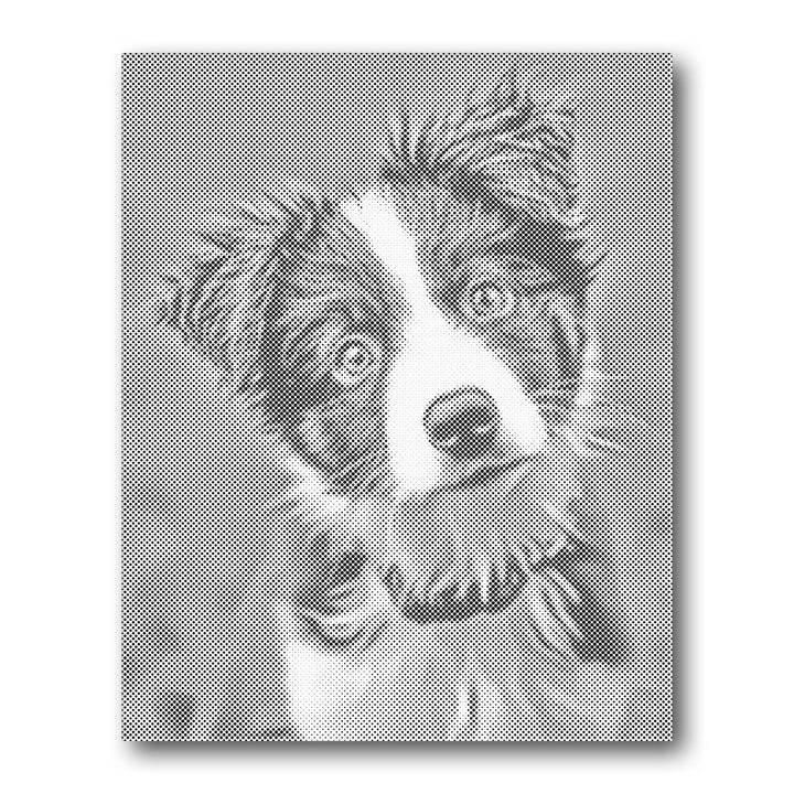Dot PaintingBorder Collie Portrait - isuvio
