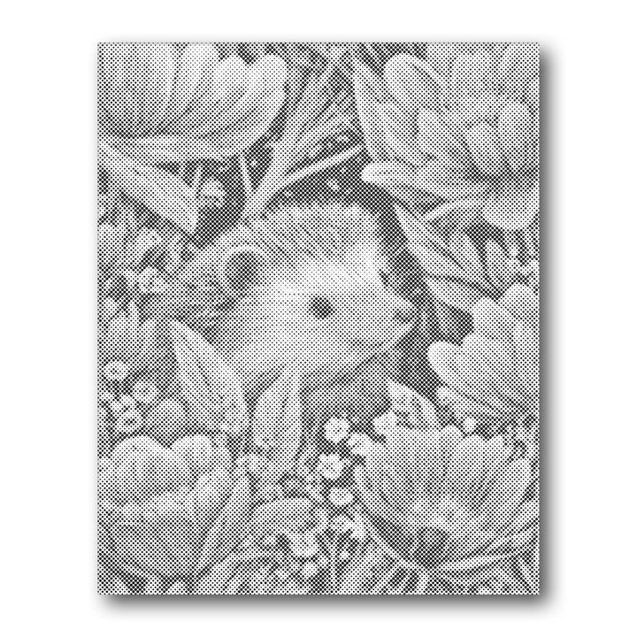 Dot PaintingBunny among Flowers - isuvio