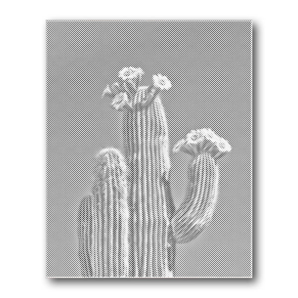 Dot PaintingCactus Cluster Closeup - isuvio