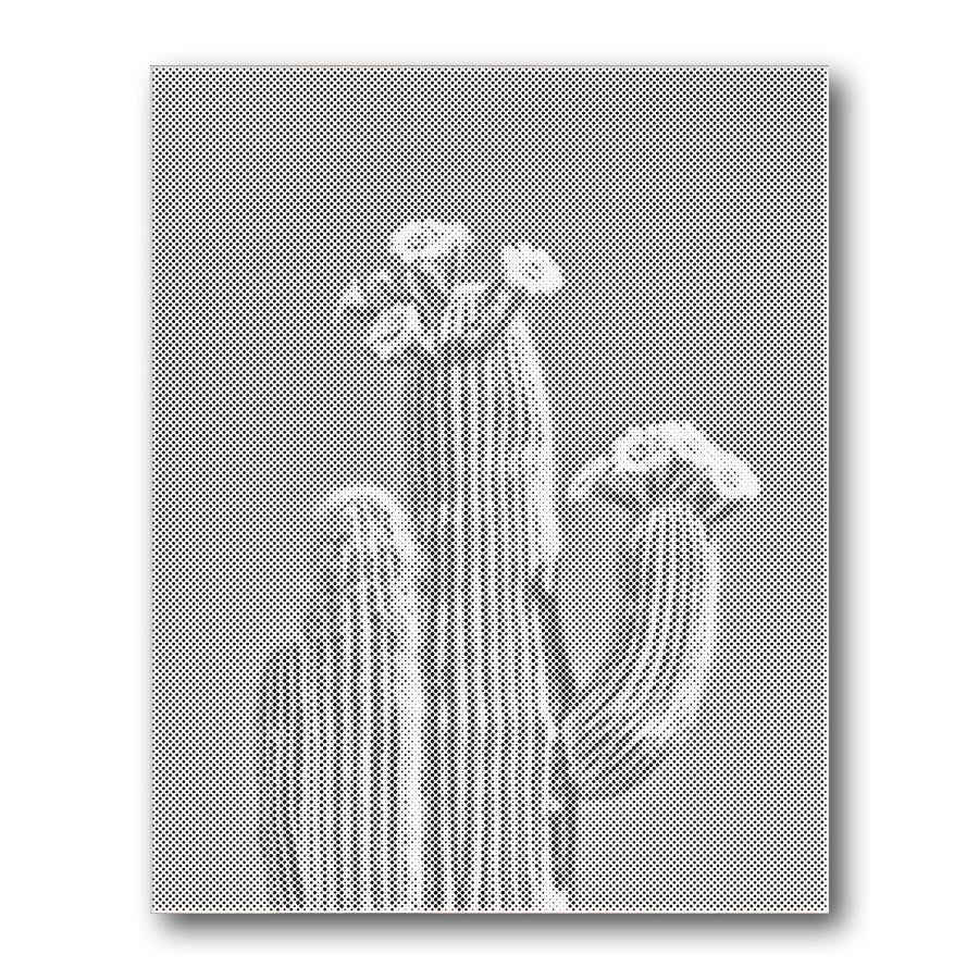Dot PaintingCactus Cluster Closeup - isuvio