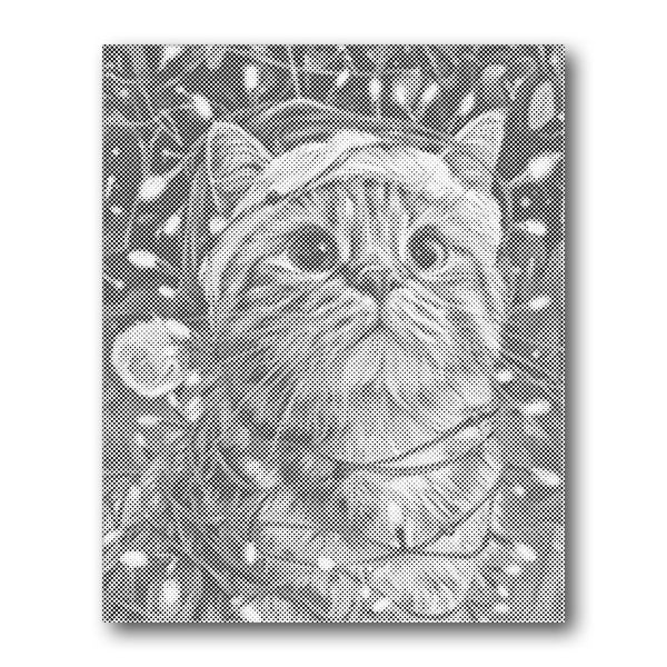 Dot PaintingCat Portrait - isuvio