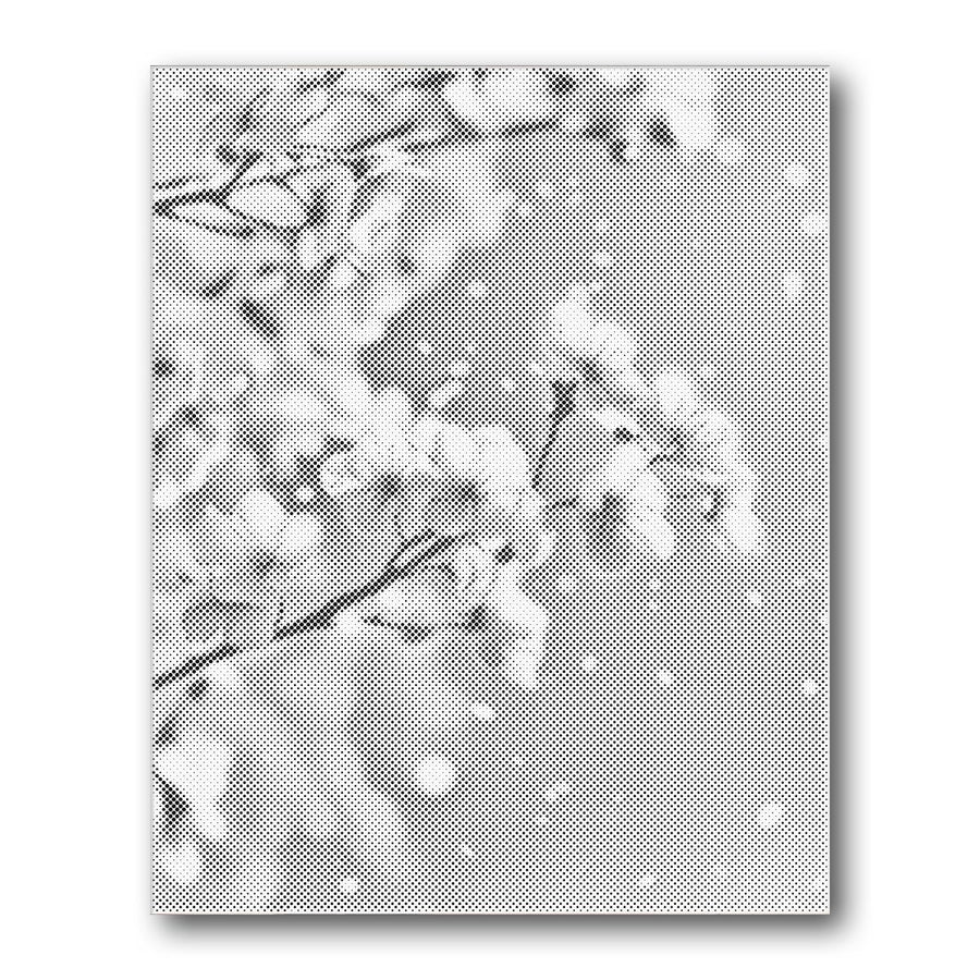 Dot PaintingCherry Blossom Snowfall - isuvio