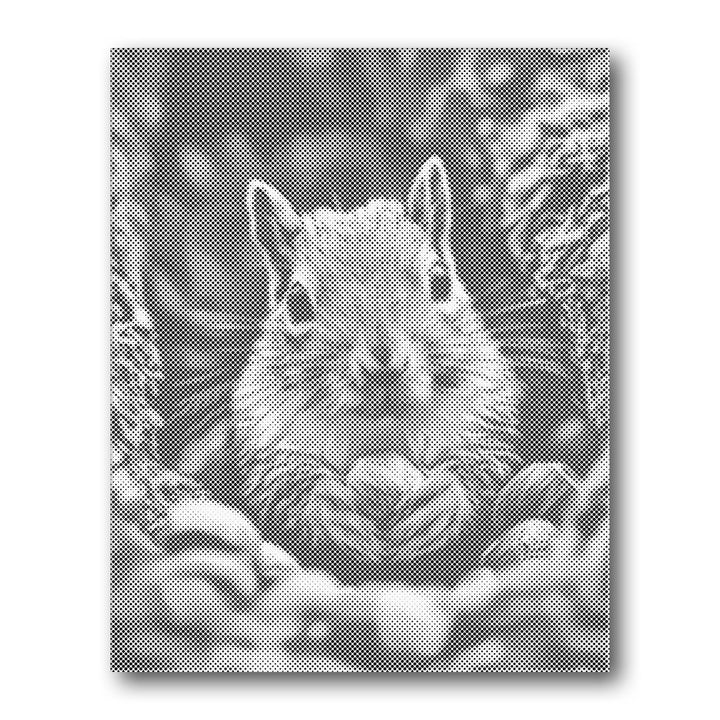 Dot PaintingChipmunk - isuvio