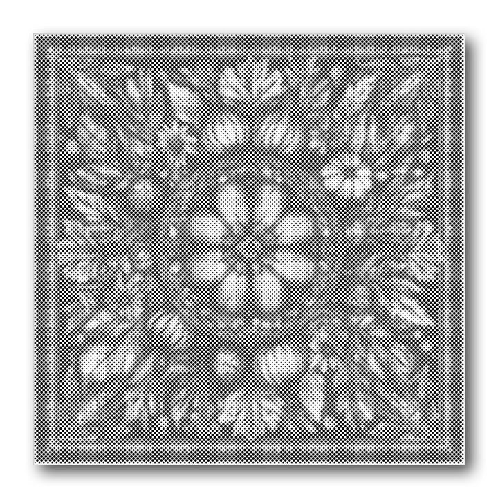 Dot PaintingChrysanthemum Frame - isuvio