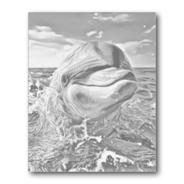 Dot PaintingDolphin Splash - isuvio