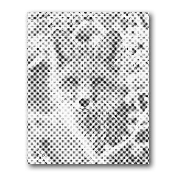 Dot PaintingFox Portrait - isuvio