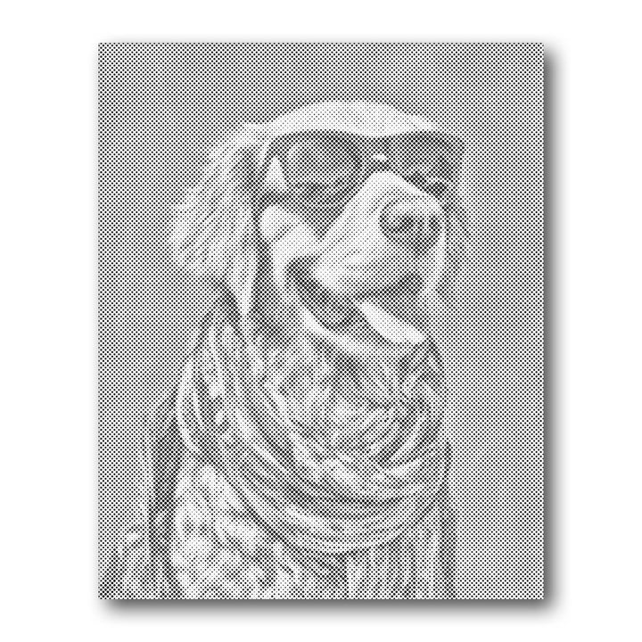 Dot PaintingGolden Retriever with Sunglasses - isuvio