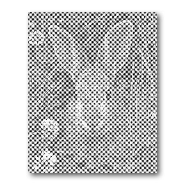 Dot PaintingHare in Meadow - isuvio