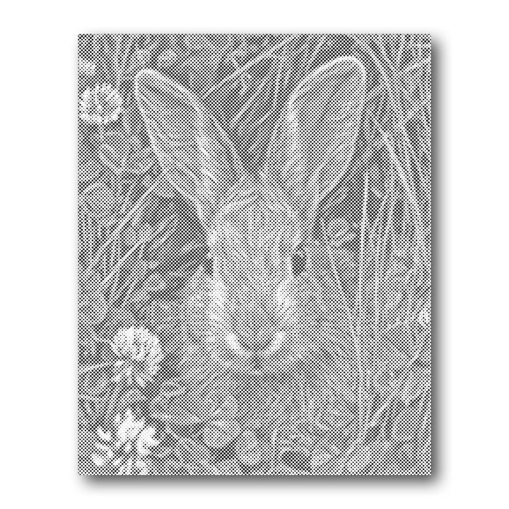Dot PaintingHare in Meadow - isuvio