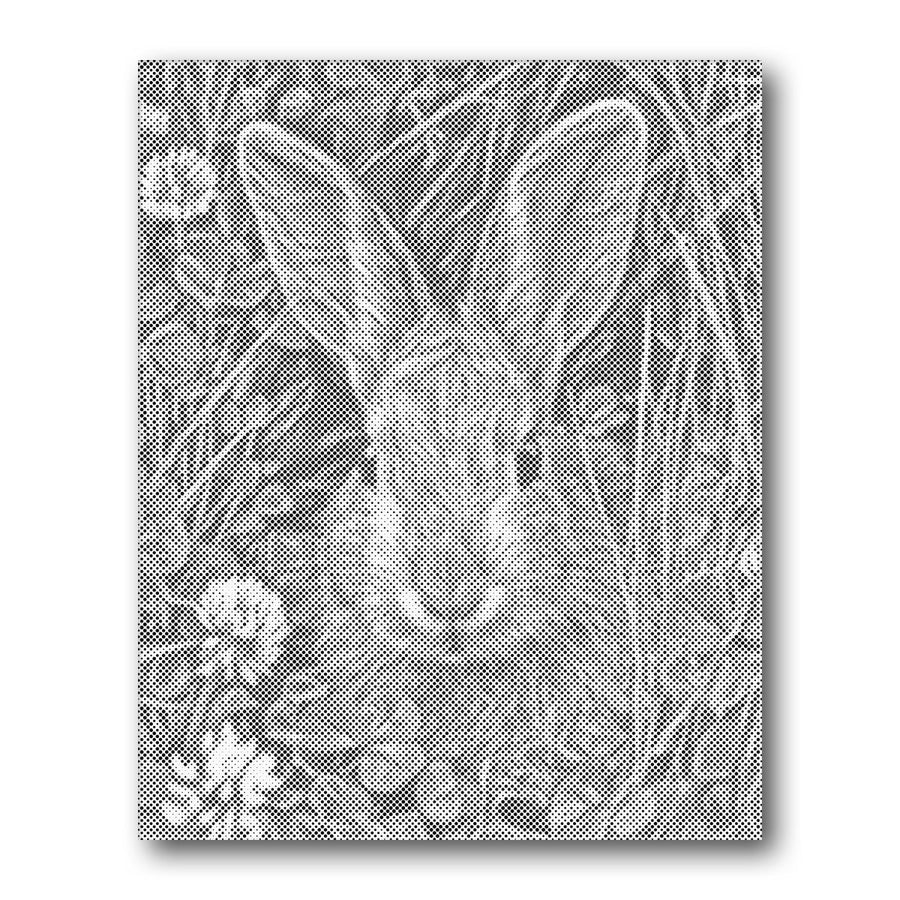 Dot PaintingHare in Meadow - isuvio
