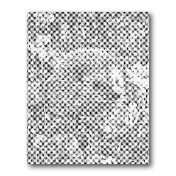 Dot PaintingHedgehog in Flowers - isuvio