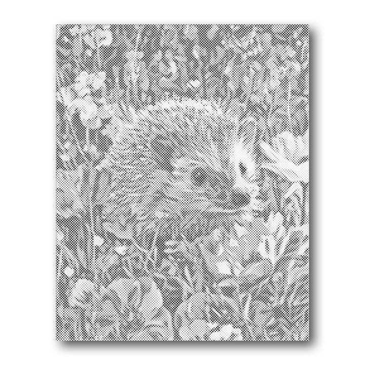 Dot PaintingHedgehog in Flowers - isuvio