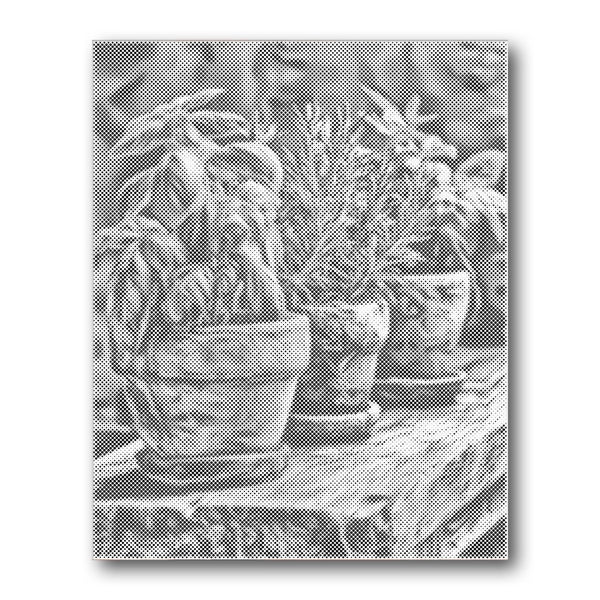 Dot PaintingHerb Pots Rustic Shelf - isuvio