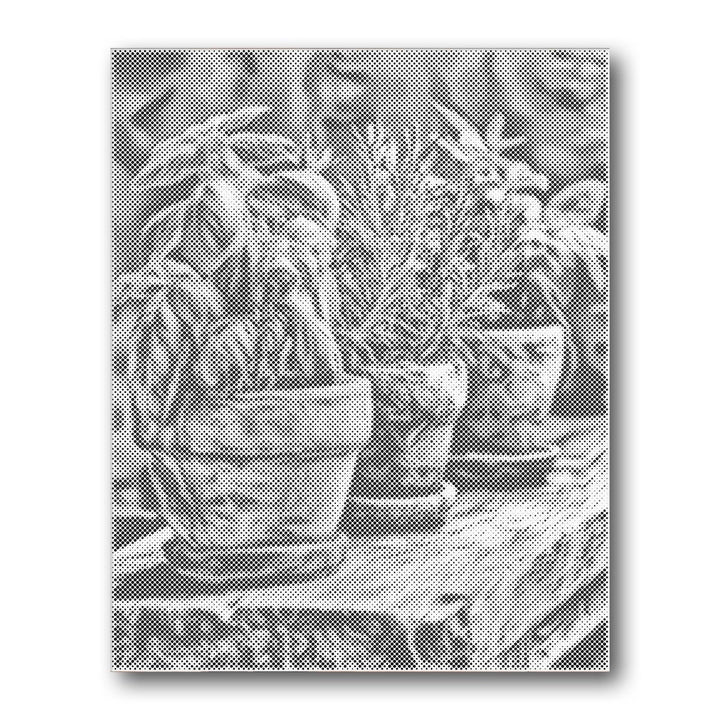 Dot PaintingHerb Pots Rustic Shelf - isuvio