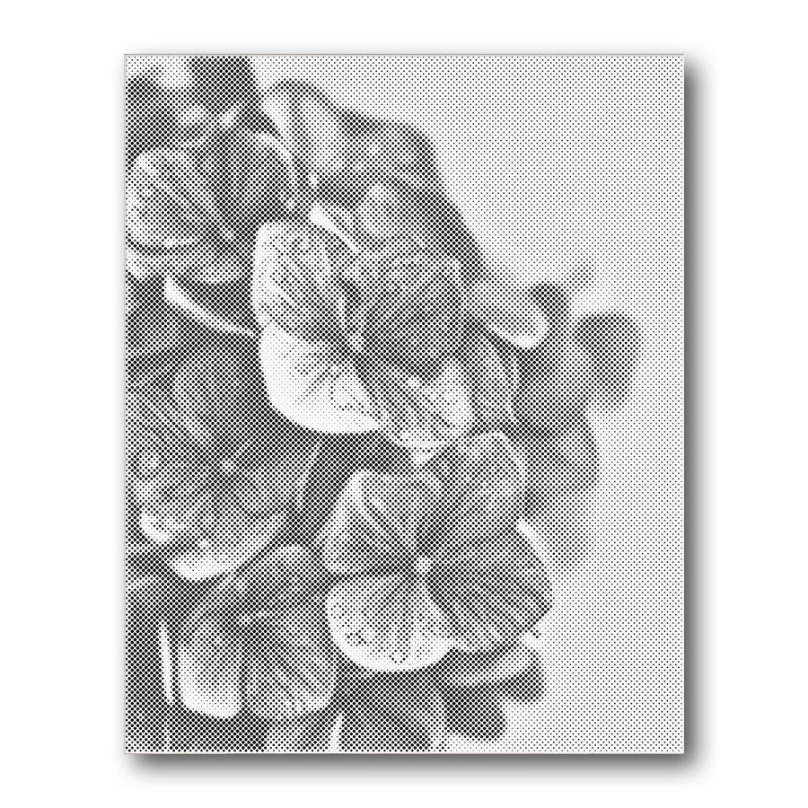 Dot PaintingHydrangea Leaves Detail - isuvio