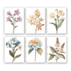 Paint By Numbers KitiSuvio Mini Series Flowers No.46 - isuvio