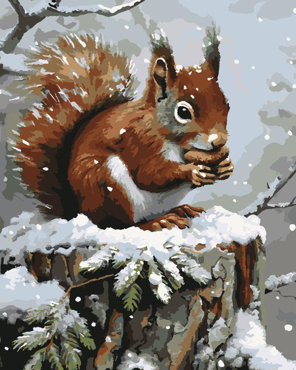 Paint By Numbers Kitisuvio™Animal Series Squirrel No.53 - isuvio