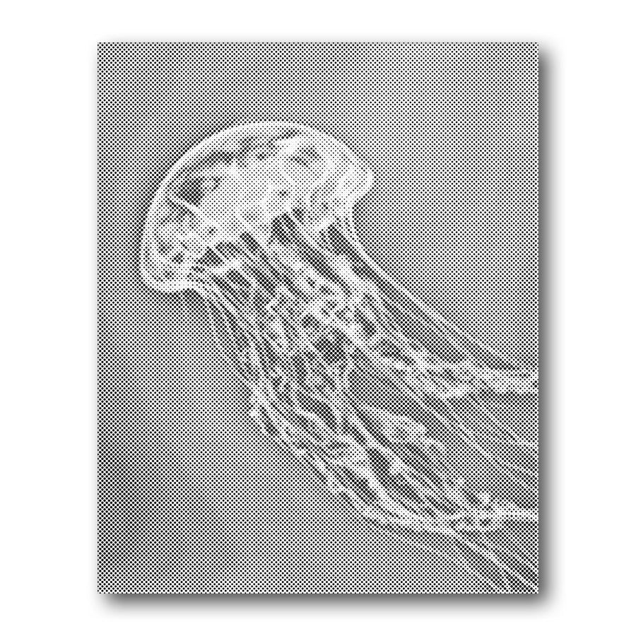 Dot PaintingJellyfish - isuvio