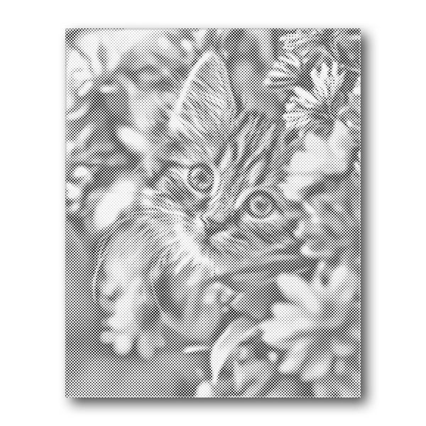 Dot PaintingKitten in Flowers - isuvio