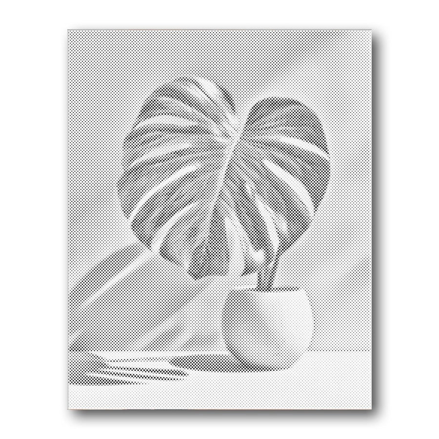 Dot PaintingMonstera Leaf Pot Shadow - isuvio