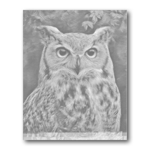 Dot PaintingOwl Portrait - isuvio