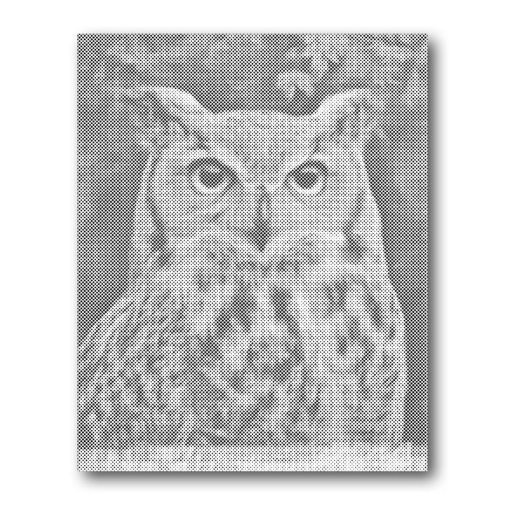 Dot PaintingOwl Portrait - isuvio