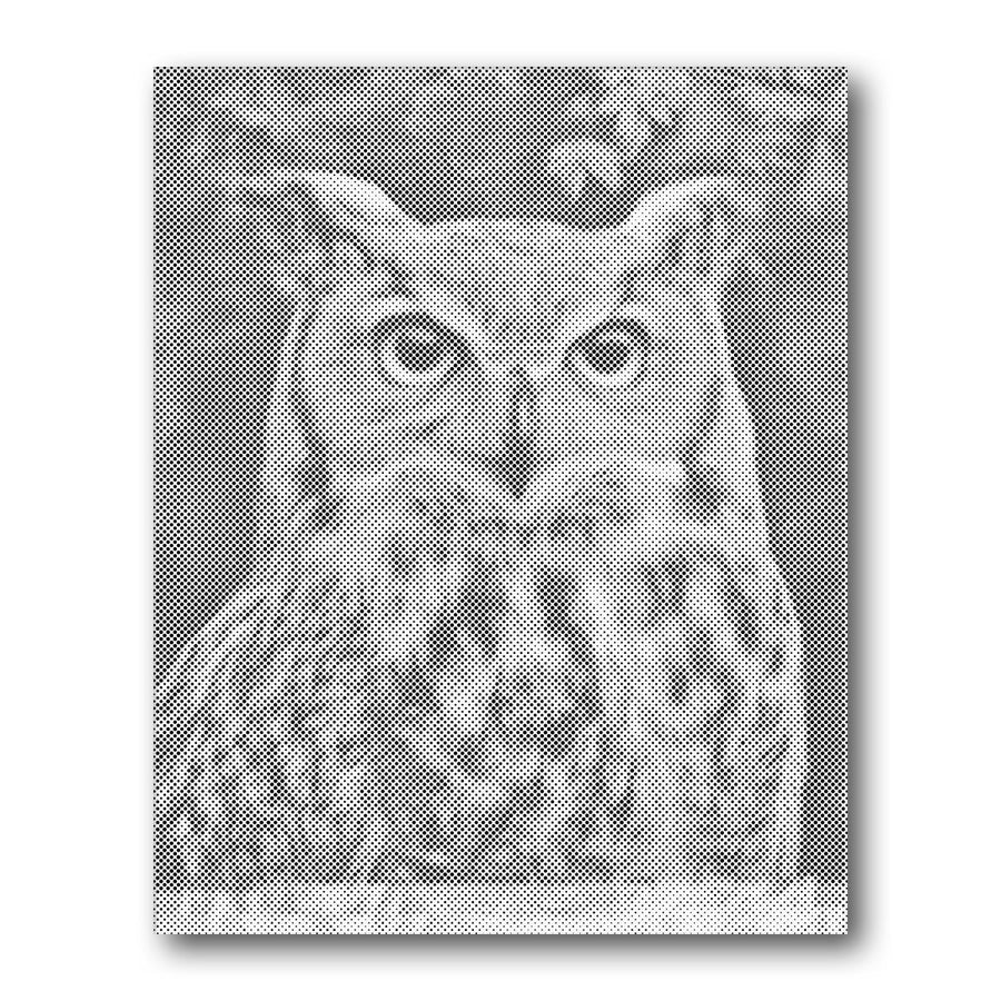 Dot PaintingOwl Portrait - isuvio