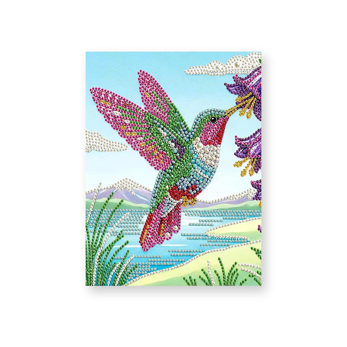 Rainbow Hummingbird Beside Purple Flowers