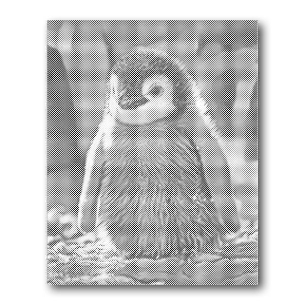 Dot PaintingPenguin Chick - isuvio