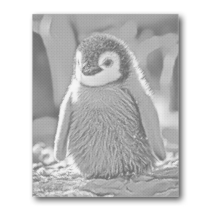 Dot PaintingPenguin Chick - isuvio