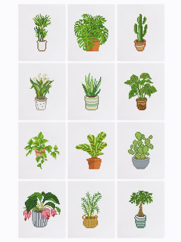 Plants - isuvio