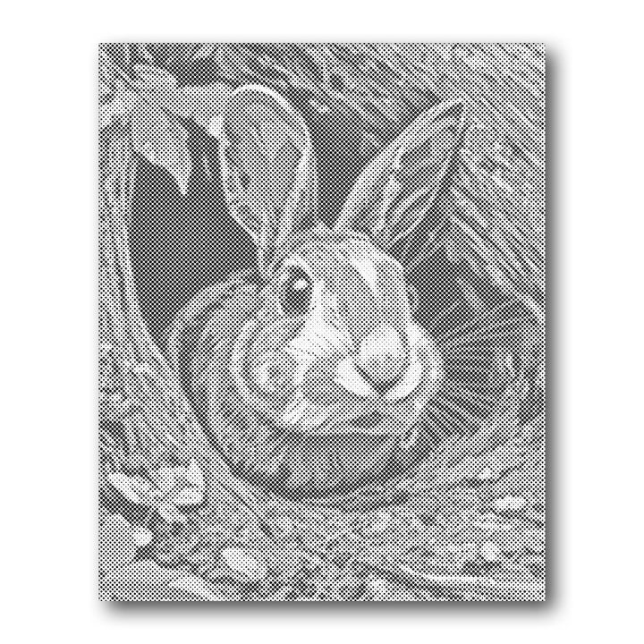 Dot PaintingRabbit in Burrow - isuvio