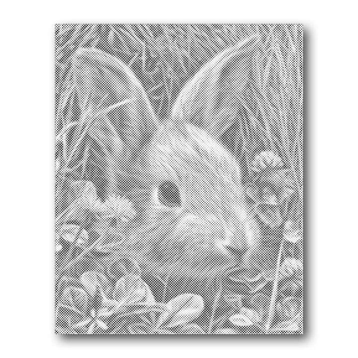 Dot PaintingRabbit in Clover - isuvio