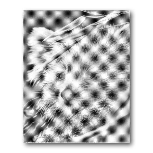 Dot PaintingRed Panda Profile - isuvio