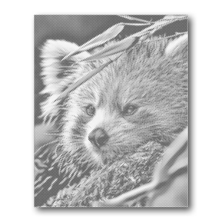 Dot PaintingRed Panda Profile - isuvio