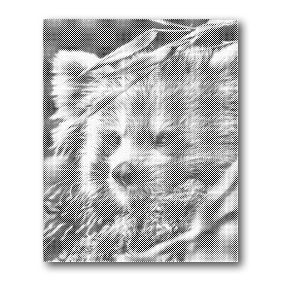 Dot PaintingRed Panda Profile - isuvio