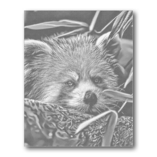 Dot PaintingRed Panda Sleeping - isuvio