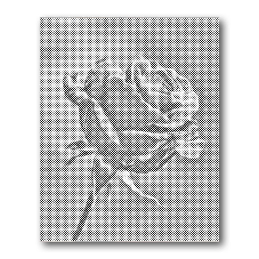 Dot PaintingRose Stem Closeup - isuvio
