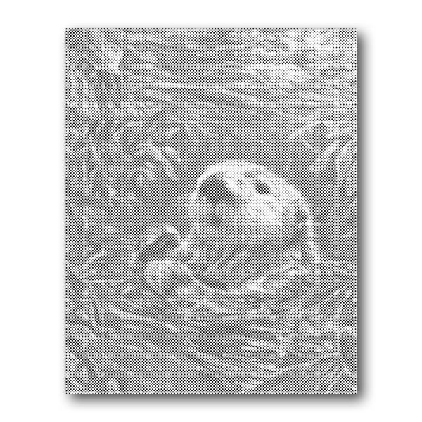 Dot PaintingSea Otter Floating - isuvio