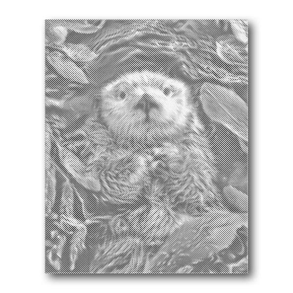 Dot PaintingSea Otter Underwater - isuvio