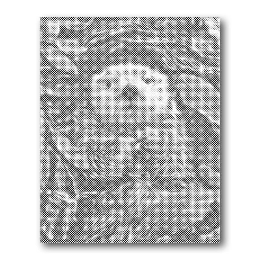 Dot PaintingSea Otter Underwater - isuvio