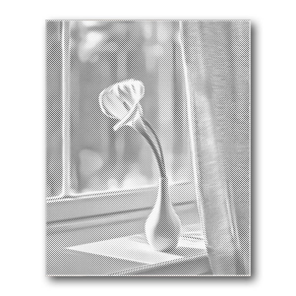 Dot PaintingSingle Flower Window - isuvio