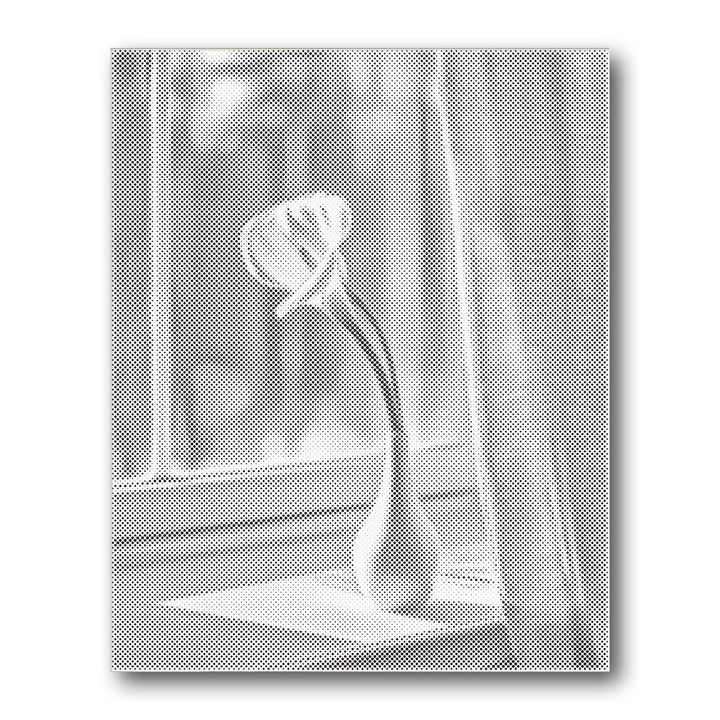 Dot PaintingSingle Flower Window - isuvio