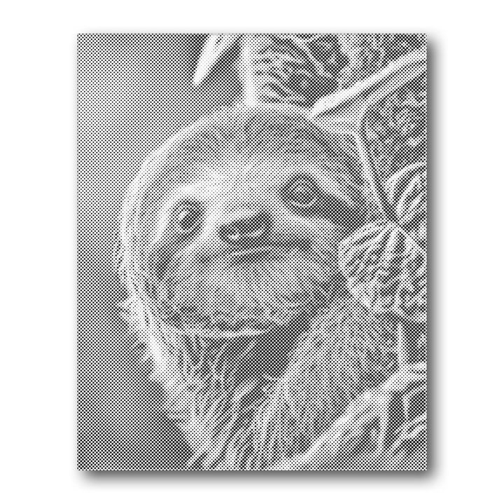 Dot PaintingSloth Portrait - isuvio