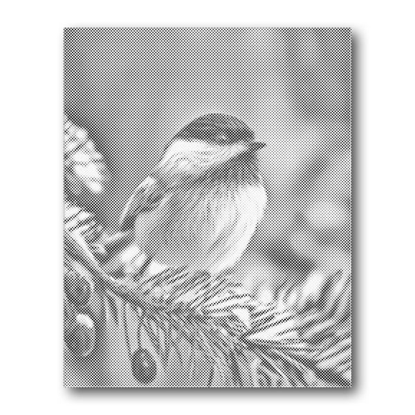 Dot PaintingSongbird on Branch - isuvio