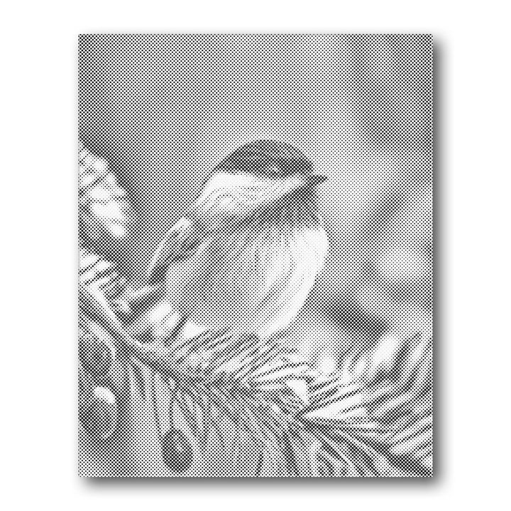 Dot PaintingSongbird on Branch - isuvio